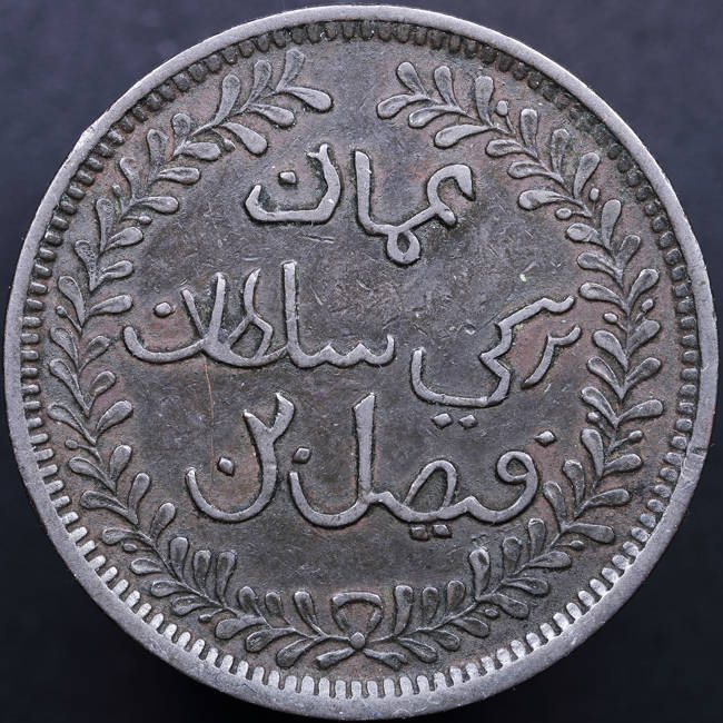 166-Days-Of-Yakko's-World-Coins